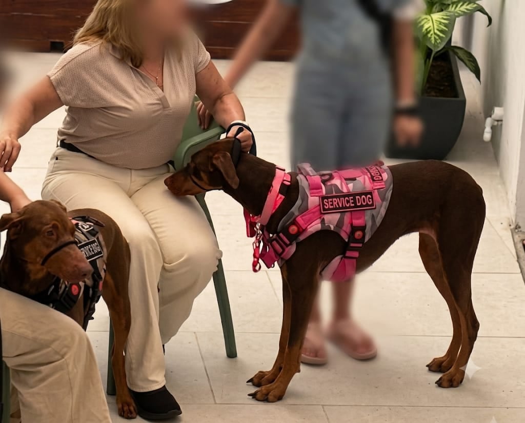 Perros dóberman atacaron a una mujer en un centro comercial