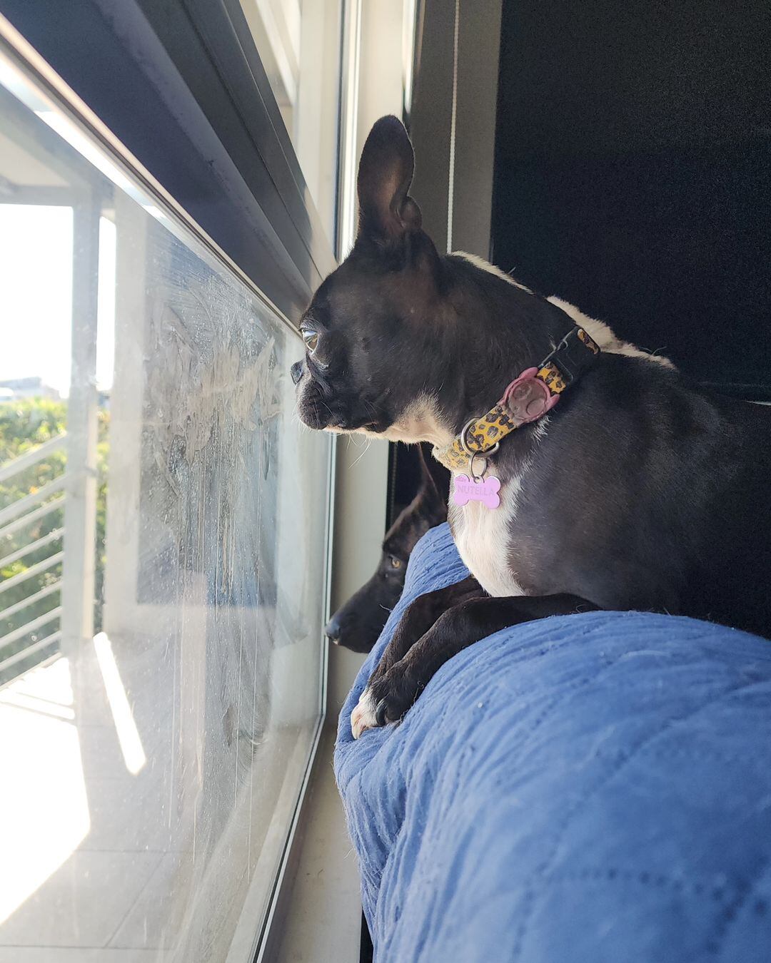 Viviana Calderón, expresentadora de televisión