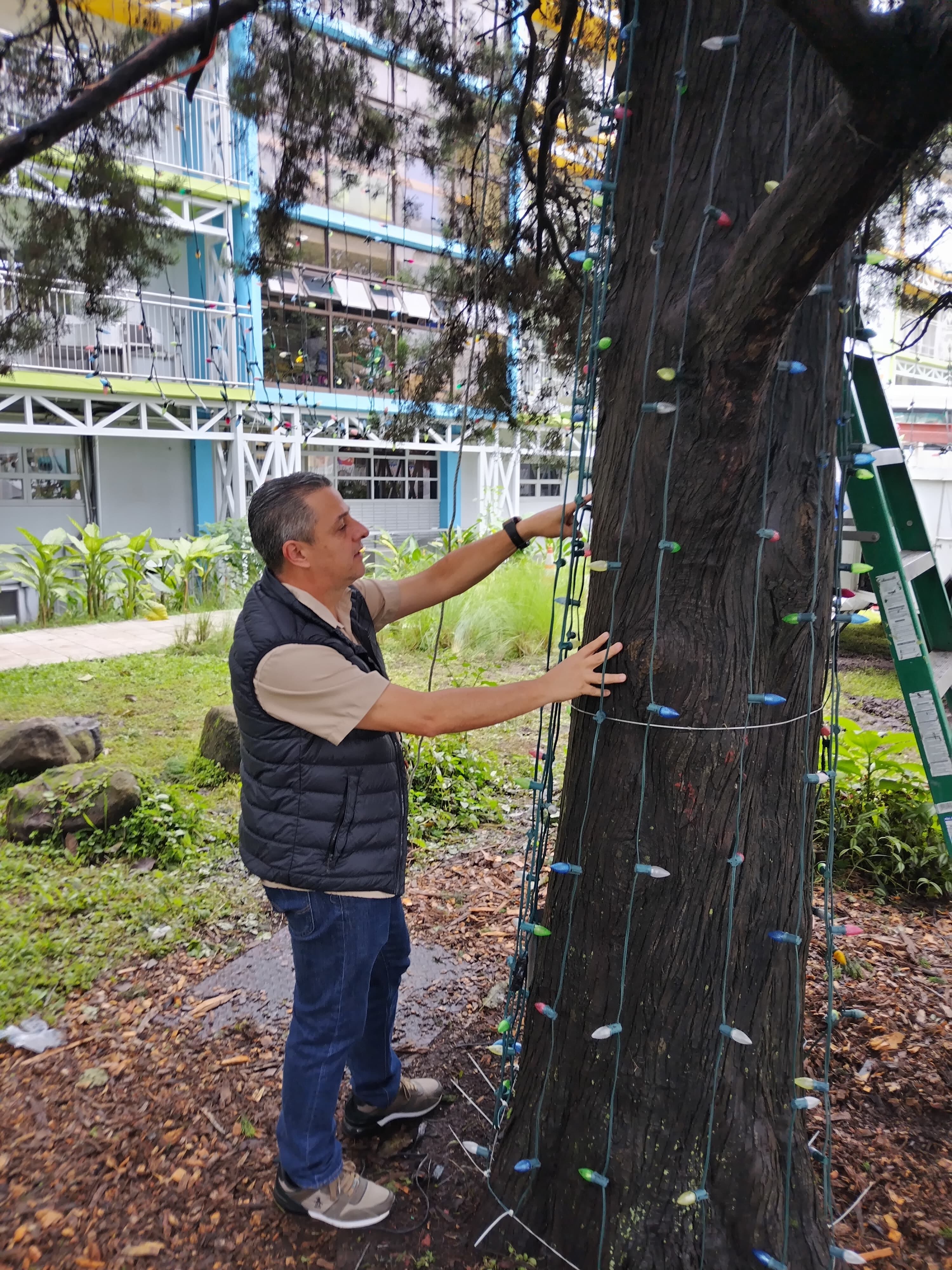 El arbolito de Navidad del Hospital Nacional de Niños (HNN) cumple 42 años de edad este 2024 y, alegremente, está pura vida de salud al punto que un experto de la Compañía Nacional de Fuerza y Luz (CNFL) nos confirmó que esta tan pura vida como un carajillo de 15 años.