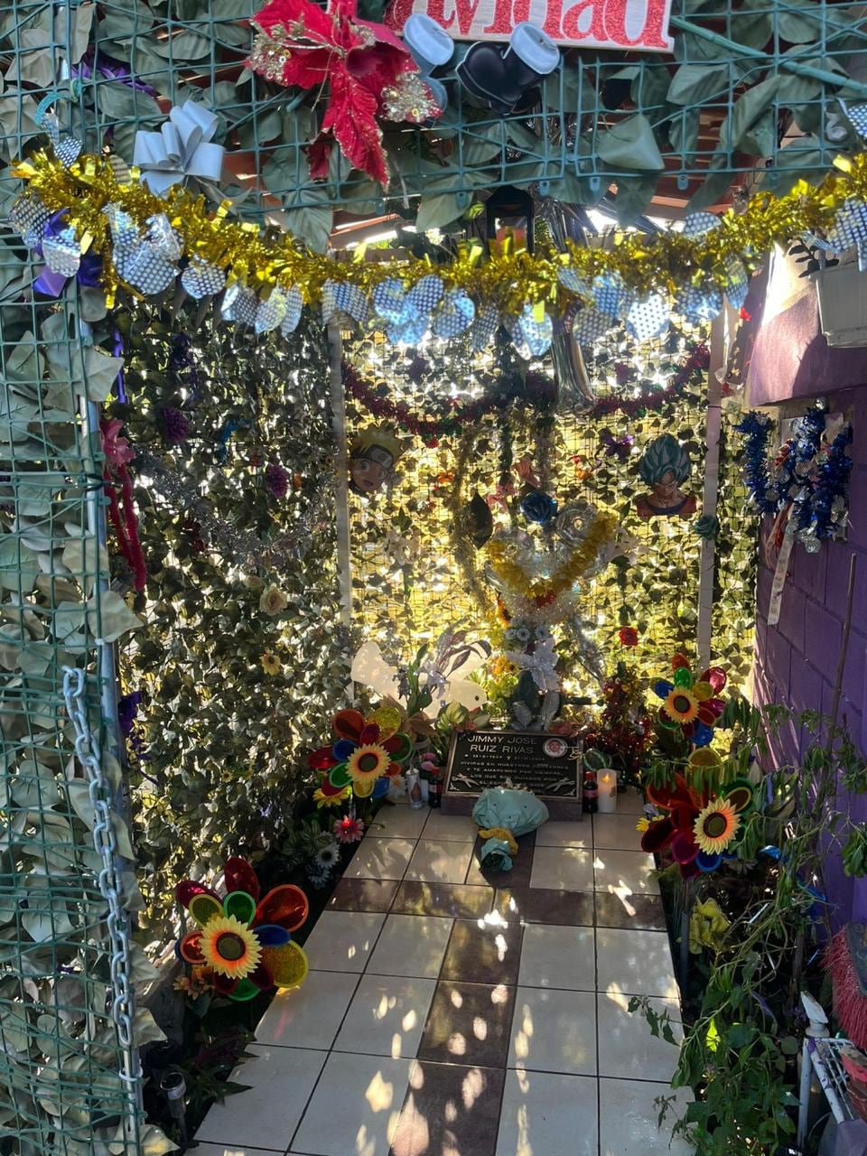 Foto cortesía Darling Ruiz.