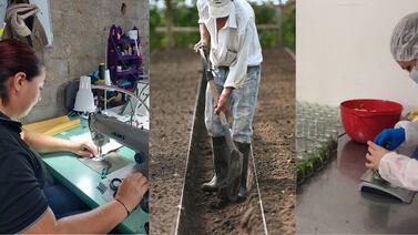 Empleo informal registró un aumento en el país durante el cierre del 2024