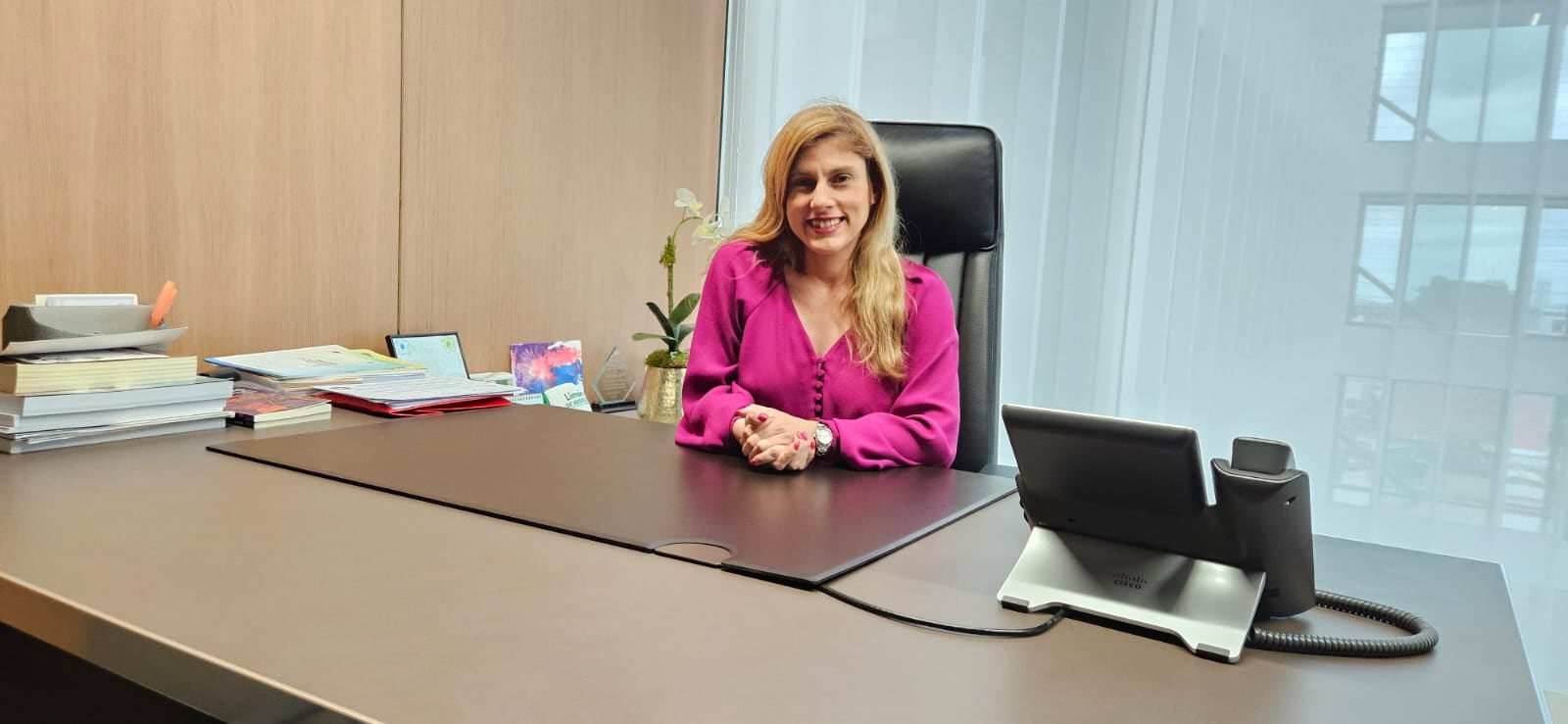 Diputada Andrea Álvarez