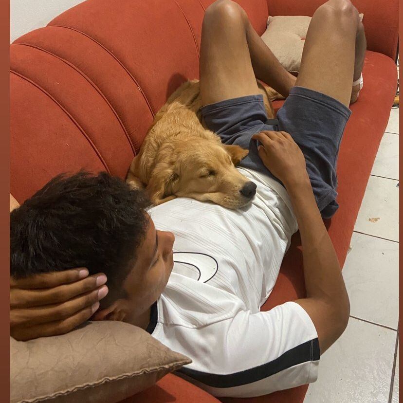 Carlos Martínez tiene un Golden Retriever al que le da todo tipo de chineos. Foto: Instagram