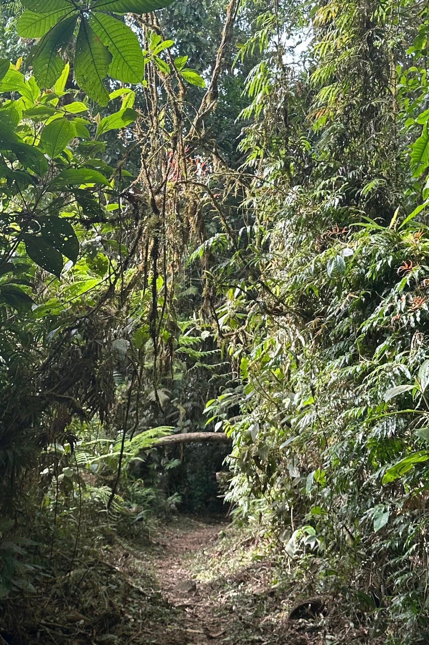 La Marta - Refugio de Vida Silvestre