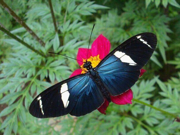 Cantón de San José lo invita a sumergirse en su naturaleza y arqueología.