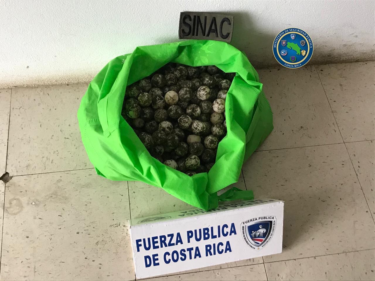 Detienen a dos jóvenes como sospechosos de robar 414 huevos de tortuga del Parque Nacional Manuel Antonio. Foto MSP.