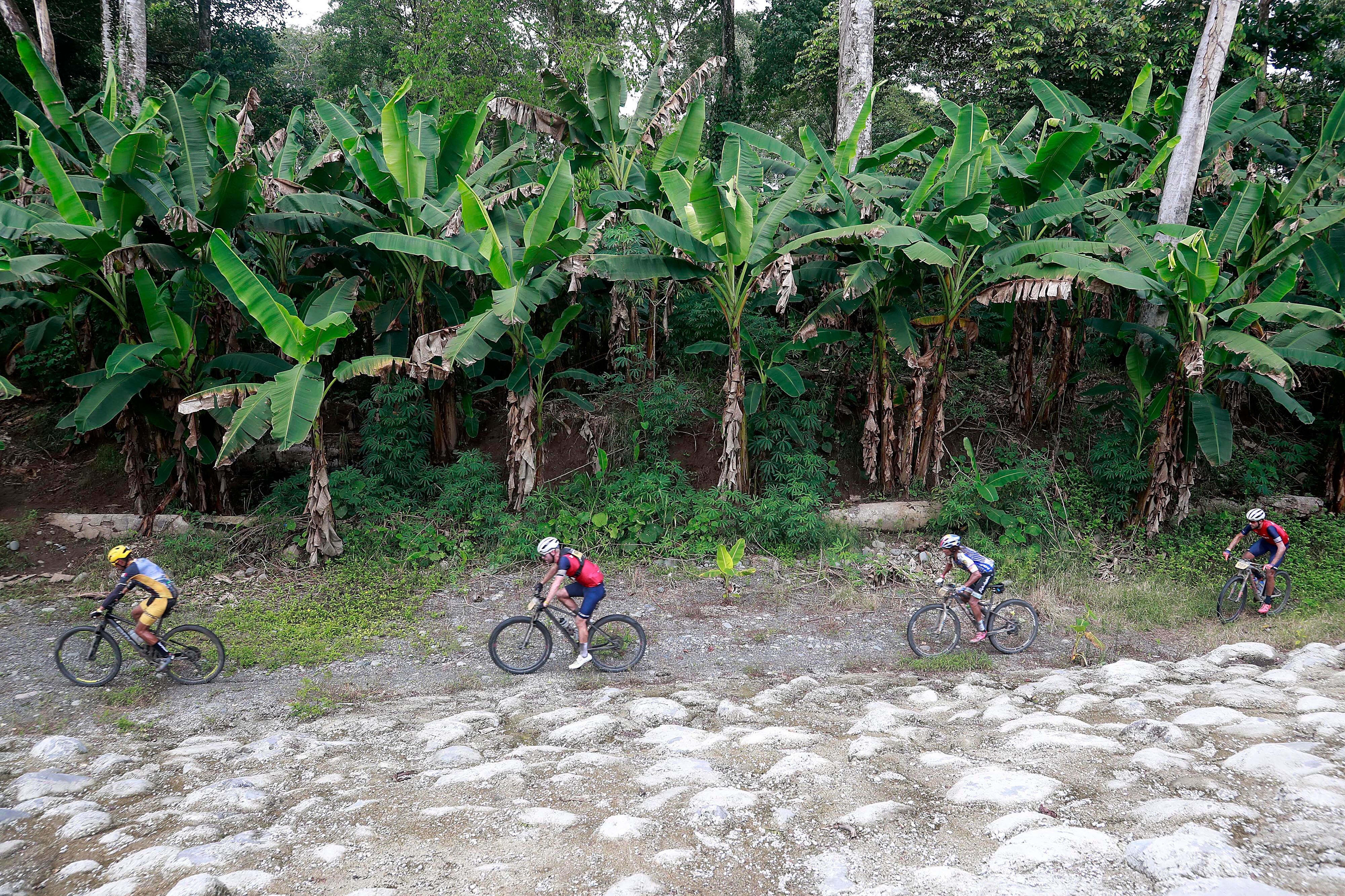 30/11/2023 Siquirres. Primera etapa de la Ruta de los Conquistadores, la competencia de ciclismo de montaña de renombre mundial, ahora conocida como La Ruta. En esta edición número 29 cambió el rumbo empezando en el Caribe donde más bien solía terminar.