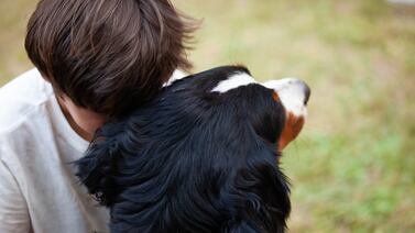 Perrito ganó concurso del “más feo del mundo” debido a una triste situación