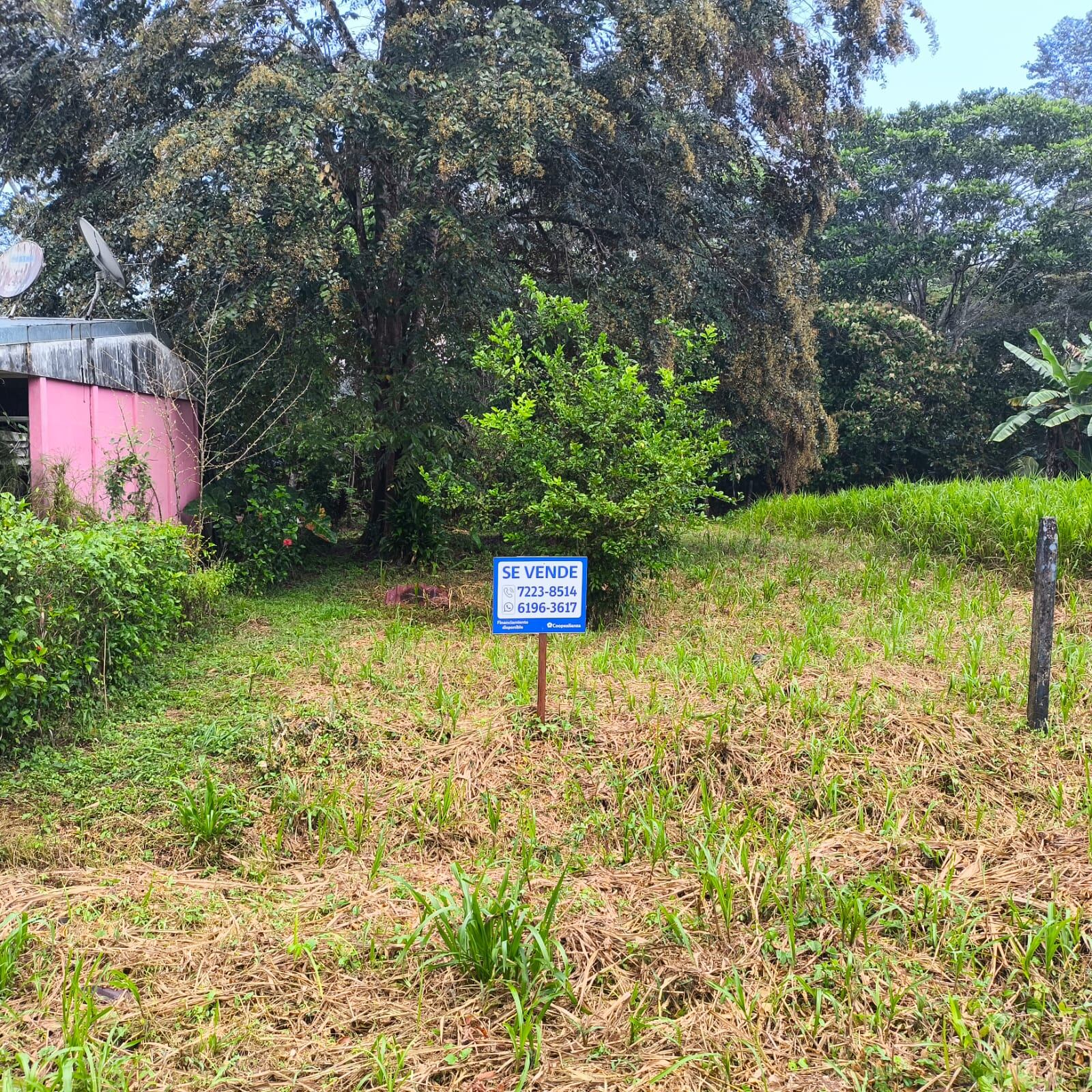 Coopealianza tiene varios lotes a la venta a buenos precios, para aquellas personas que están en busca de una casa o un terreno para construir su vivienda.