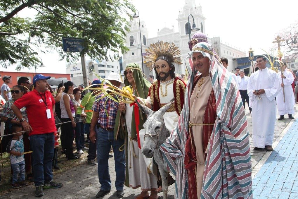 Pepe, con cuatro años, es el burro que para el 2022 llevará la imagen del Señor del Triunfo el domingo 10 de abril, en la procesión del Domingo de Ramos