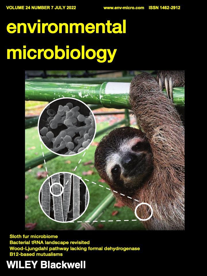 Una investigación hecha por la Universidad de Costa Rica (UCR) y el Centro Nacional de Alta Tecnología (Cenat) descubrió que existen bacterias capaces de producir antibióticos en el pelaje de los perezosos