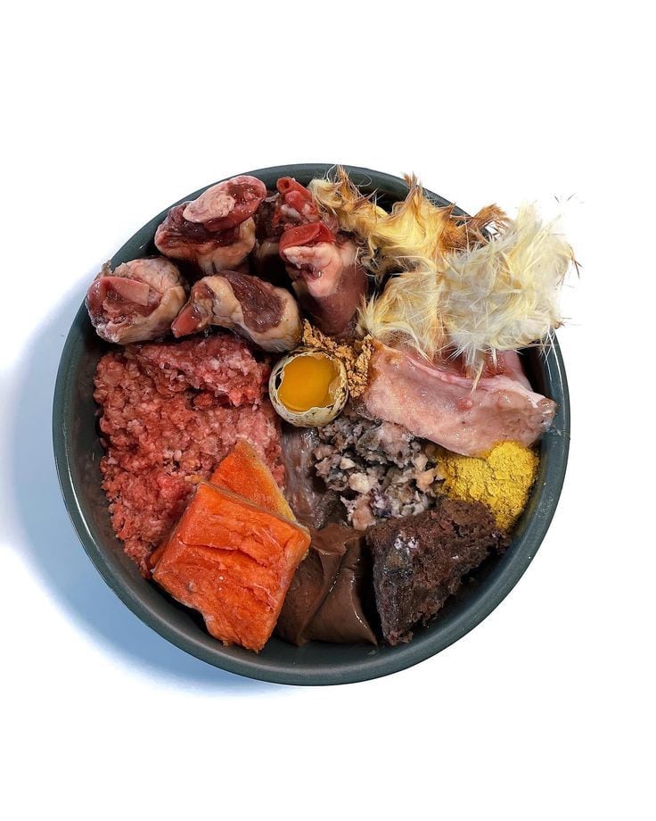 Chinee a su perrito y aprenda a alimentarlo correctamente en Viva Feria de Mascotas.