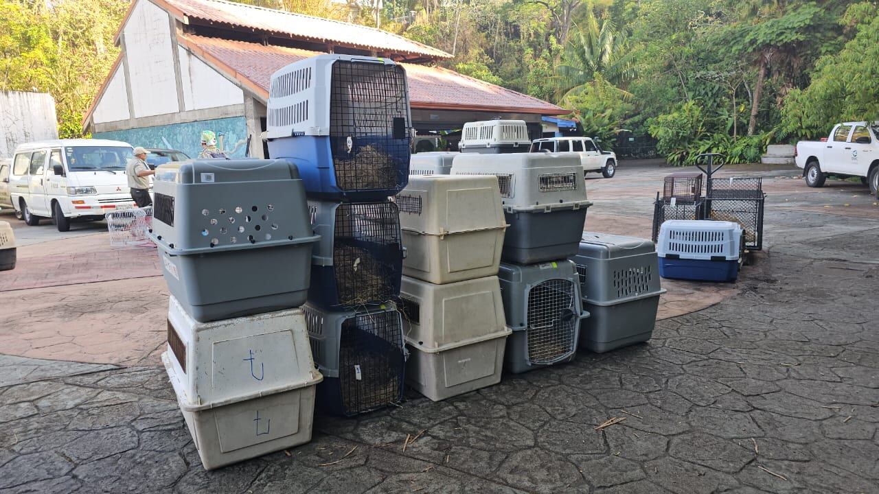 Empezó el operativo en el zoológico Simón Bolivar