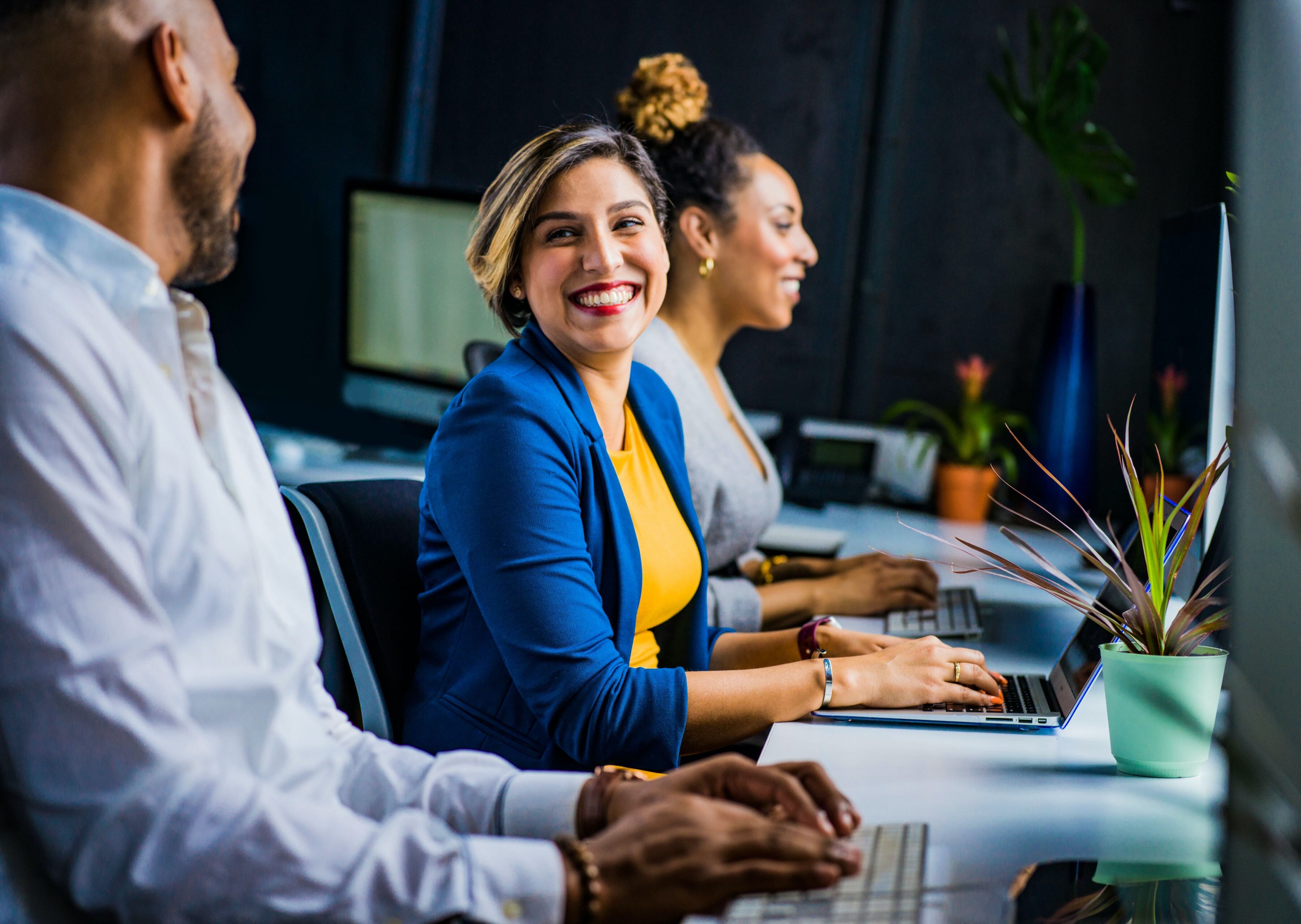 TEK Experts, empleo