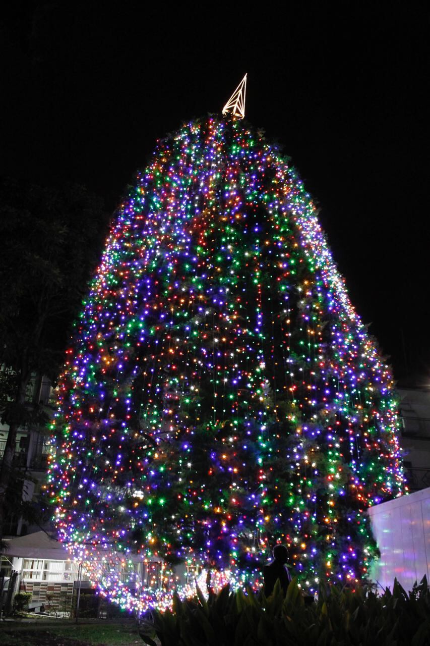 El 3 de diciembre del 2020 el Hospital de Niños realizó la tradicional iluminación del arbolito de navidad
