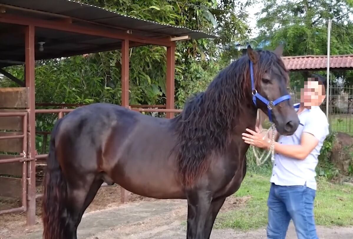 Pastor detenido por supuesto vinculo con grupo narco. Foto TV Actual.