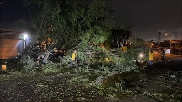 Fuertes vientos provocaron la caída de árboles y cierre de importante vía