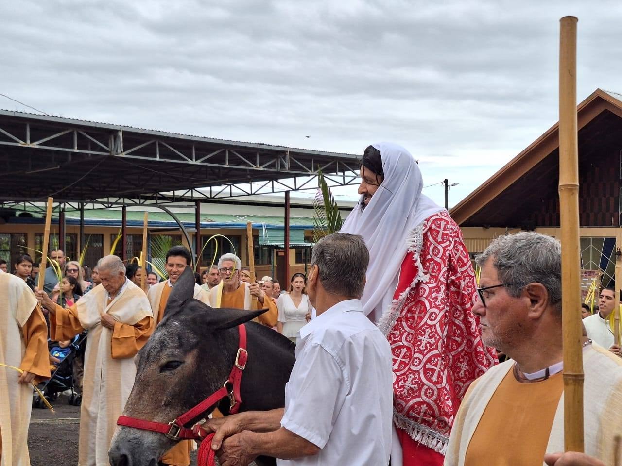 Milo es un burrito que vive en San Carlos y ese 2026 cumplirá 8 años de cargar a Jesús en la procesión del Domingo de Ramos de Semana Santa. El dueño se llama Mauricio Cedeño Quesada.