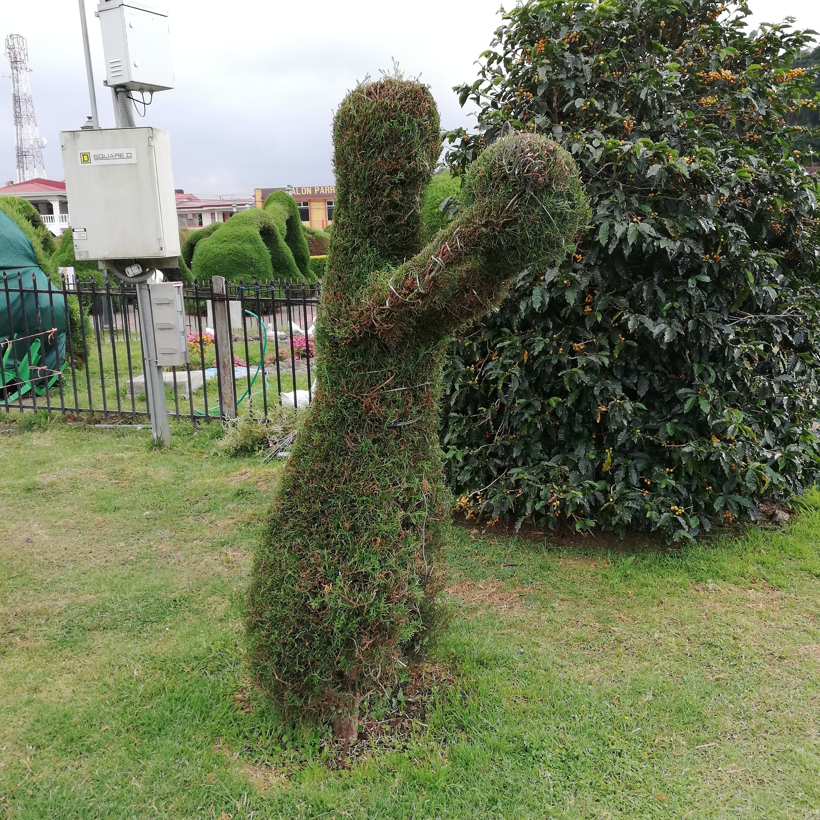 El 18 de febrero del 2021 don Evangelista Blanco Brenes el escultor del parque de Zarcero confirmó que urge alguien que quiera aprender el oficio