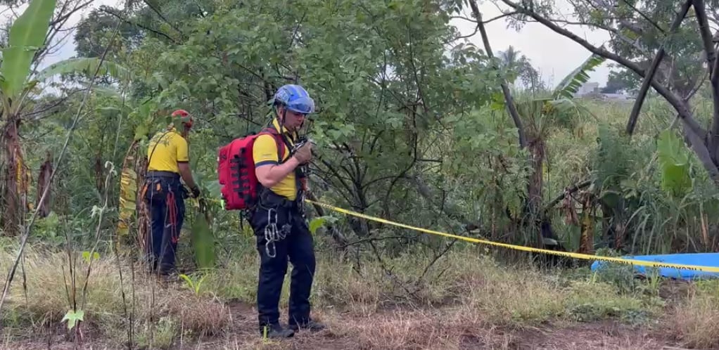Un hombre de aproximadamente 60 años murió luego de caer de un árbol en un sitio de difícil acceso en Villa Esperanza, Pavas. Foto: Captura de video