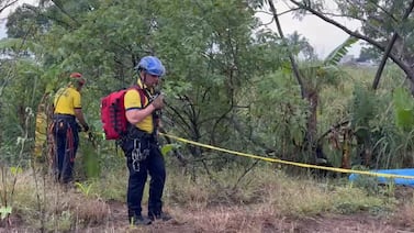Hombre se cae de un árbol y el desenlace fue demasiado desgarrador