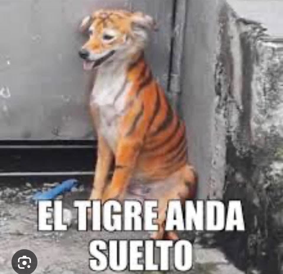 Aficionados de otros clubes aprovecharon el momento para crear contenido humorístico.