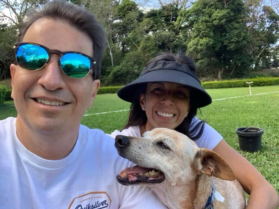 Historia con final feliz en Territorio de Zaguates y su perrito Abuelo.