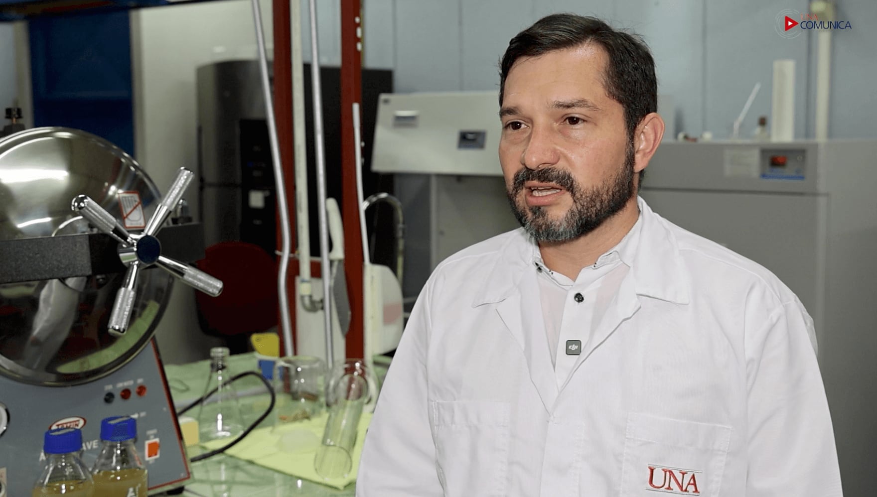 Un hongo reportado por primera vez en Costa Rica y en Centroamérica está provocando pudrición de la corona en plantas de fresa y podría representar un riesgo para la producción nacional