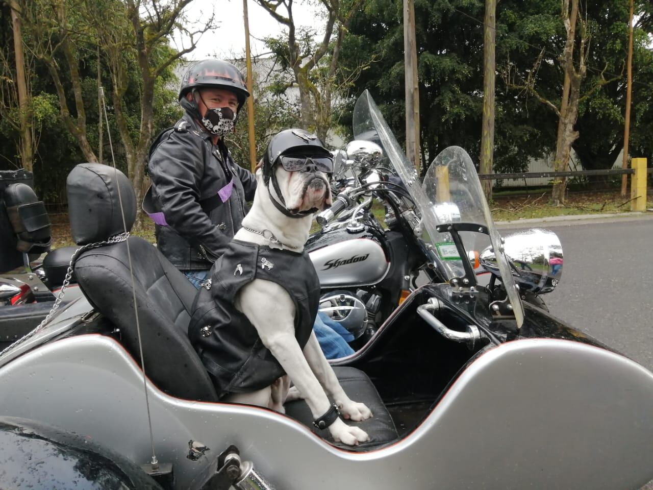 Lorenzo Alberto Cortés es un perro de raza bóxer de año y tres meses que es vecino de Lourdes de Agua Caliente de Cartago y es motoquero, el dueño es don Mario Cortés Villavicencio, más conocido como "Pato Cortés"