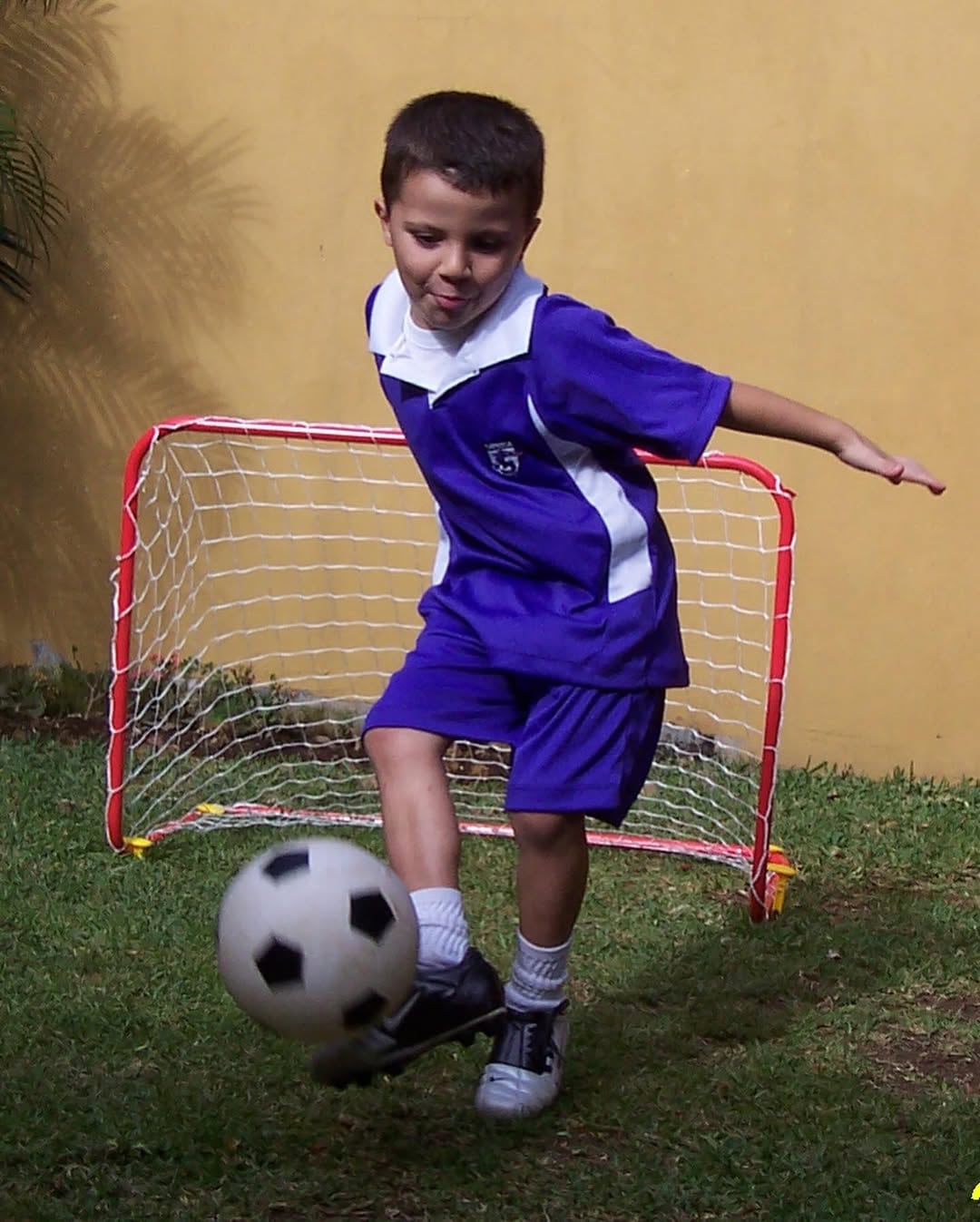 Esta fue la foto que compartió Gino VIvi en sus redes.