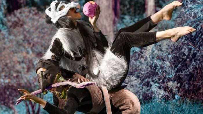 Reviva por medio de la danza una leyenda moderna que narra la historia del origen del ser humano, especialmente en Costa Rica.