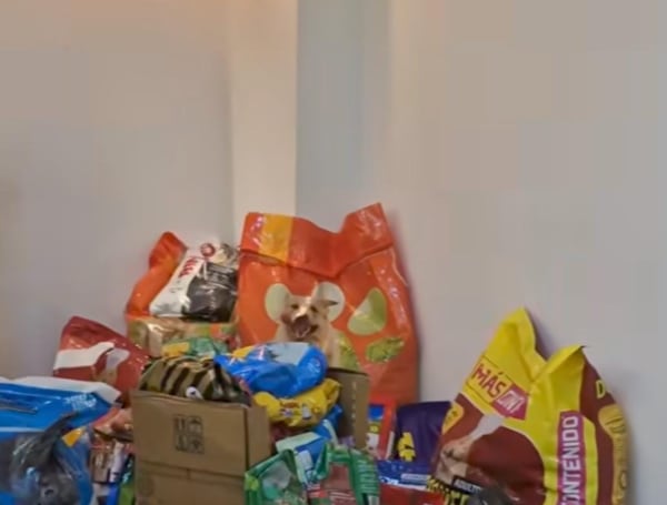 Ángela Mariño pidió comida para animales en lugar de flores en su funeral