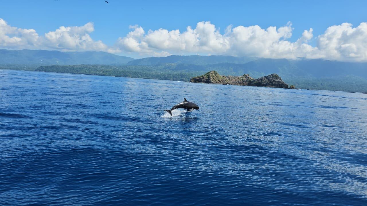 (Foto: Bahía Ballena tour)