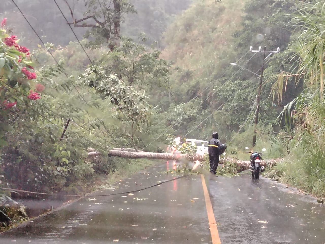 Los ventoleros y las lluvias han afectado principalmente la provincia de LImón.