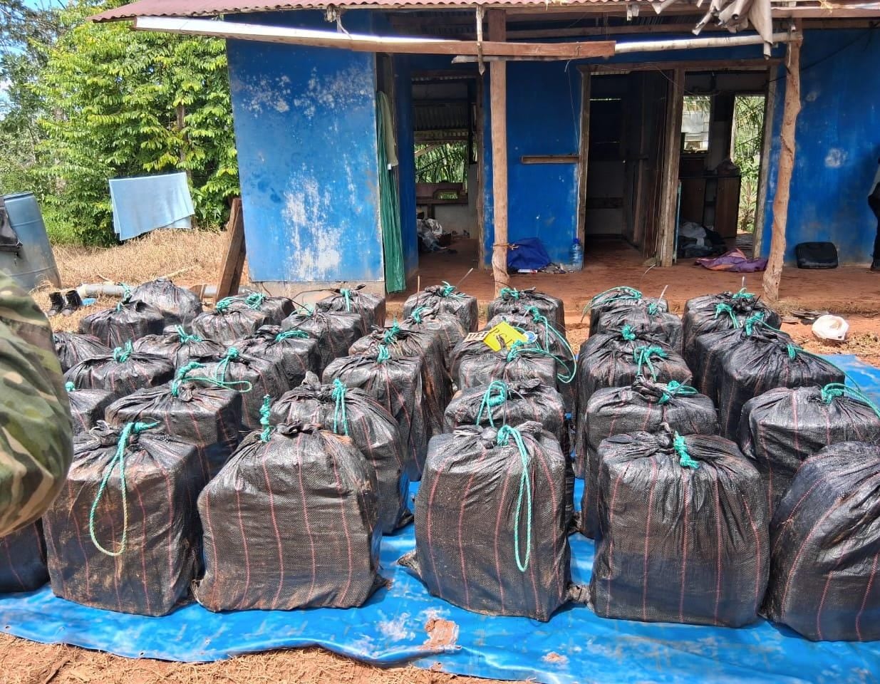Encuentran bodega cargada de droga en el humedal de Sierpe