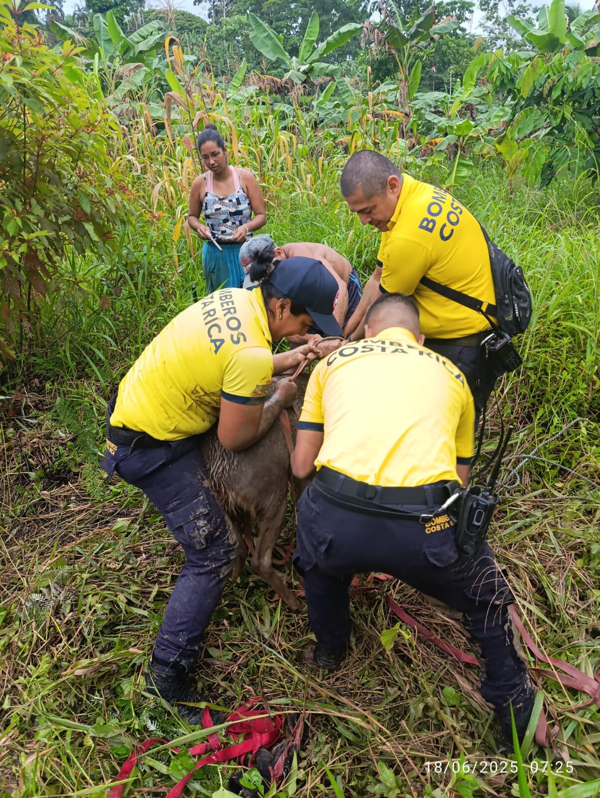 Héroe anónimo bomberos de Costa Rica