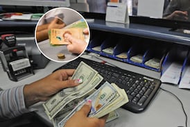 Tipo de cambio del dólar llega a su precio histórico más bajo, ¿qué está pasando?