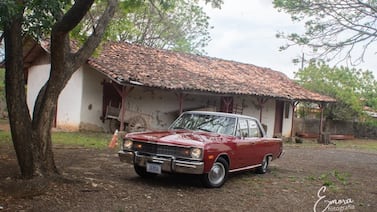 Una belleza americana de las que poco se ve, es la adoración de un vecino de Desamparados