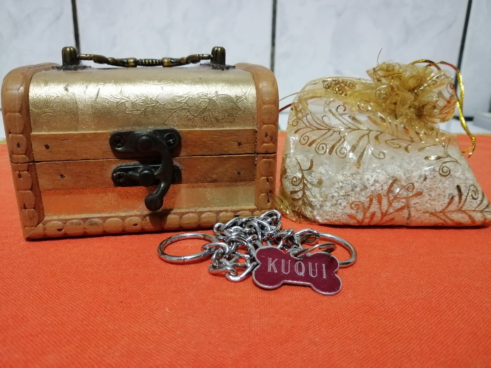 Candy Ramírez Porras nos contó que en su familia, en especial su hijo Dayron, sufrieron mucho con la muerte del perrito Kuqui en el 2016. Kuqui fue cremado.