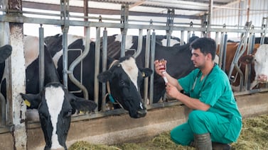 Veterinarios rompen convenio con Senasa por un peligroso decreto que pretende el actual Gobierno