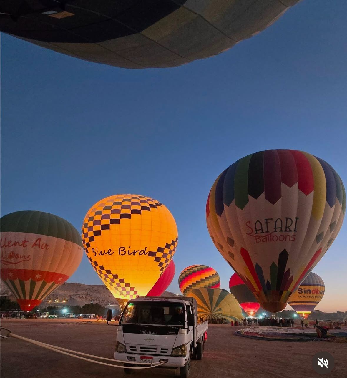 Natalia Rodríguez  Egipto