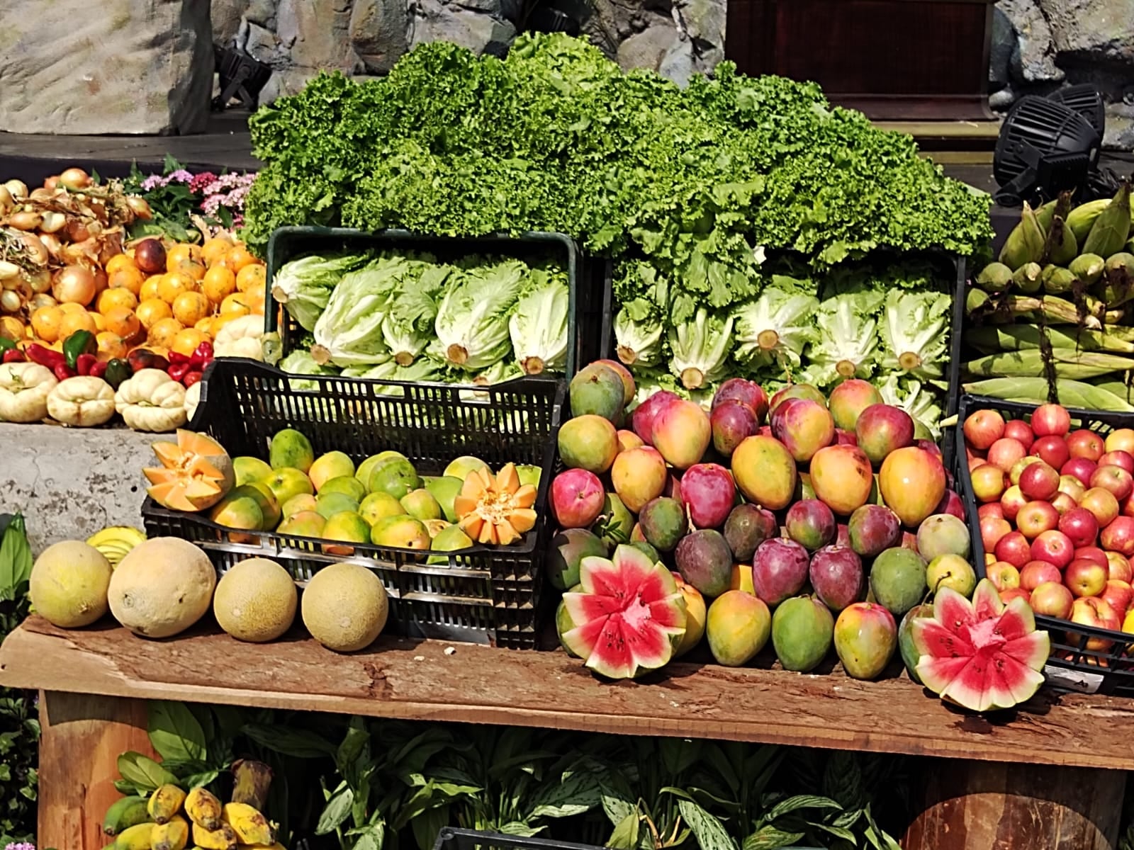 En medio de la celebración religiosa del recordatorio de Jesús en el huerto, se crea todo un huerto lleno de frutas, verduras, vegetales y todo tipo de comidas donadas por los trameros.