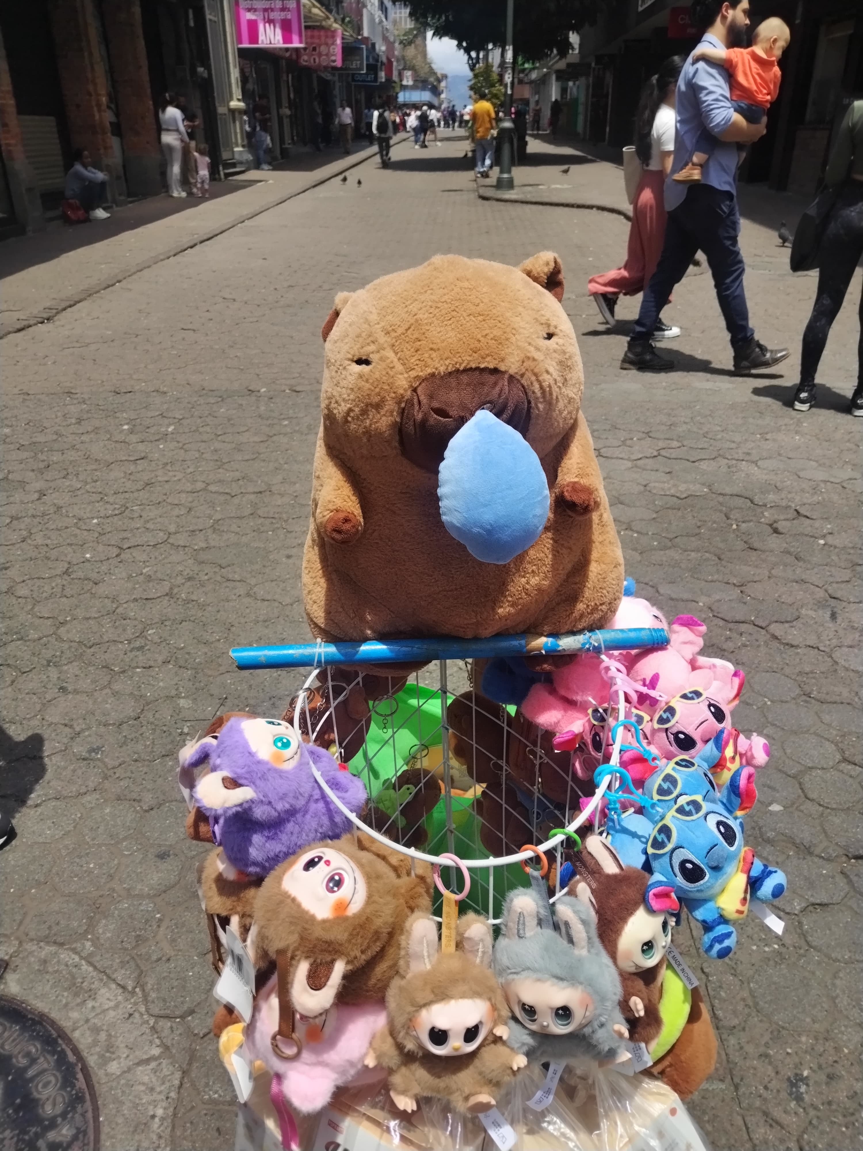 Los peluches de capibara volvieron a ser una locura de ventas en San José centro tras el decomiso de 5 capibaras reales en Orotina. Los vendedores ambulantes lo confirmaron el 27 de mayo del 2025 en un recorrido que realizamos.