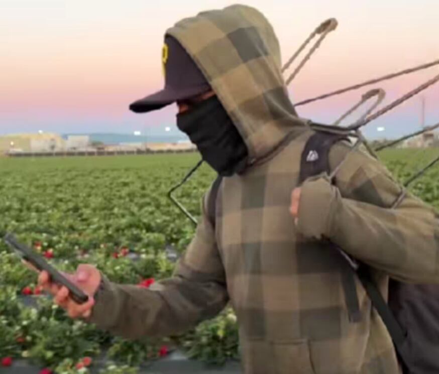 Campes1no en Estados Unidos