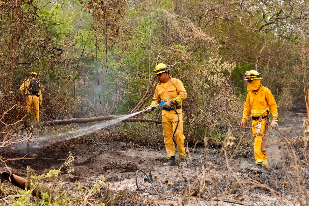 El incendio en Palo Verde tiene trabajando a más de 60 bomberos por día ya que el fuego está encerrado pero no controlado. Se quemó ya una extensión como de unas 56 parques La Sabana.