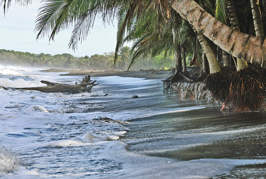 Las costas del Pacífico y del Caribe costarricense presentan serios problemas de erosión. Se proyecta que este fenómeno se agravará en las próximas décadas.  En el Caribe, el Parque Nacional Cahuita y el Refugio Nacional de Vida Silvestre Gandoca-Manzanillo son algunos de los sitios más afectados por la erosión costera.