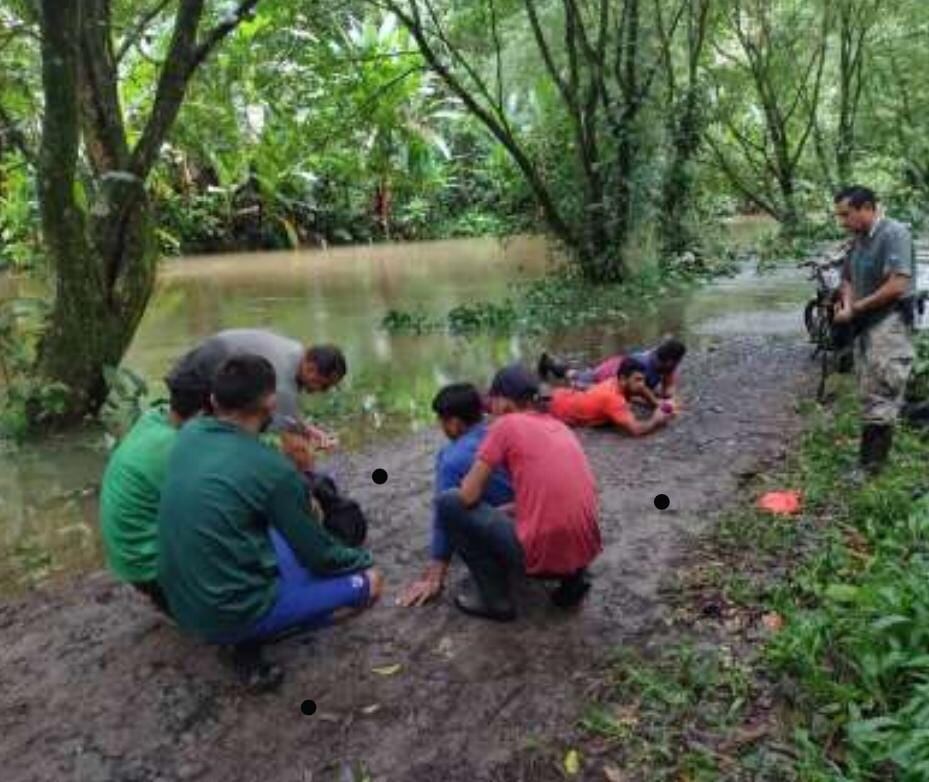 Guardaparques destacados en Tortuguero de Pococí, capturaron este 26 de julio a seis hombres que se encontraban cazando y destazaron tres venados en una zona protegida.