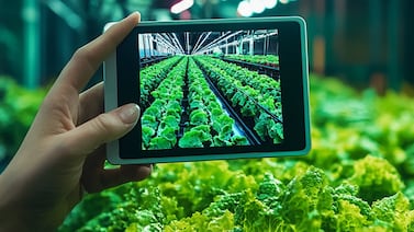 Expoalimentaria 2026: Costa Rica será el corazón de la innovación de alimentos de Centroamérica