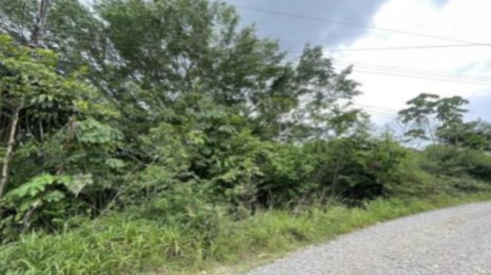 El Banco Popular tiene opciones de casas y un terreno disponibles para remate desde los 3 millones de colones.