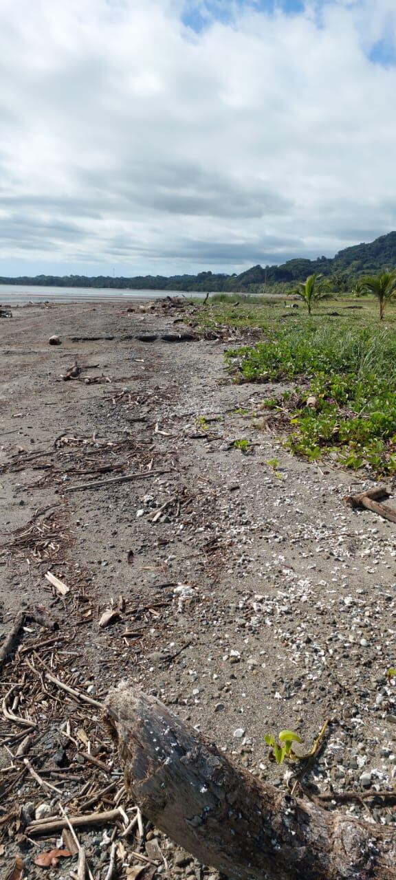 Daniela Escobar Salas desapareció cuando iba para su casa en Sámara, Guanacaste, al parecer habría sido arrastrada en esta bocana que lleva al estero Mala Noche. Foto: OIJ